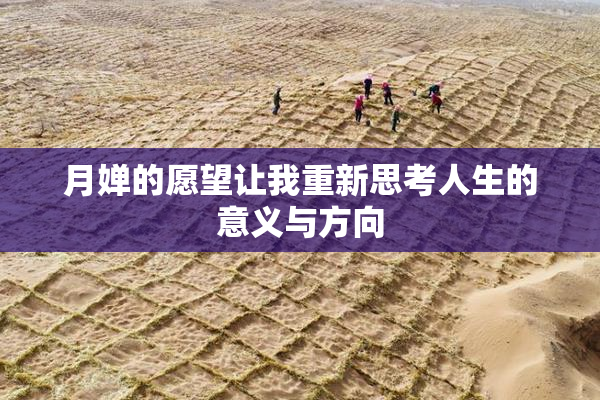 月婵的愿望让我重新思考人生的意义与方向