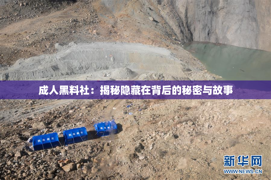 成人黑料社：揭秘隐藏在背后的秘密与故事