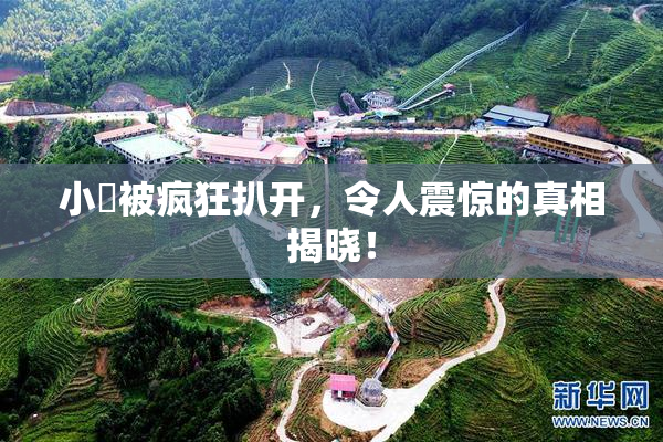 小泬被疯狂扒开，令人震惊的真相揭晓！