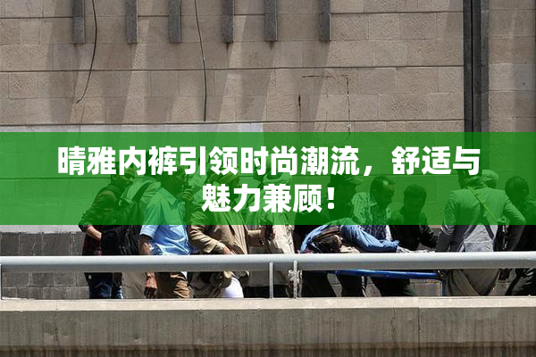 晴雅内裤引领时尚潮流，舒适与魅力兼顾！