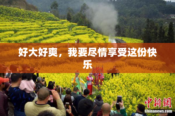 好大好爽，我要尽情享受这份快乐