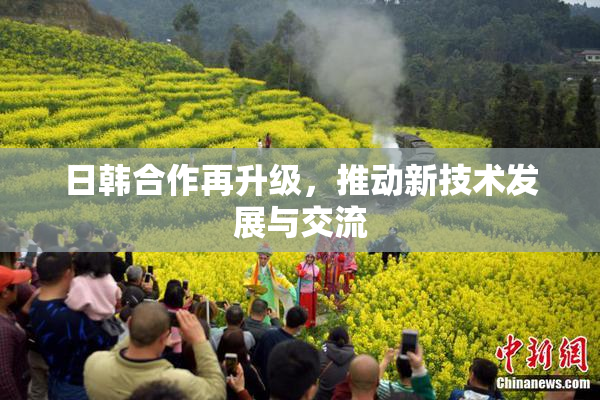 日韩合作再升级，推动新技术发展与交流