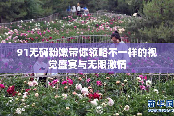 91无码粉嫩带你领略不一样的视觉盛宴与无限激情