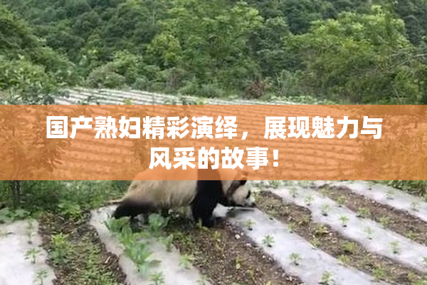 国产熟妇精彩演绎，展现魅力与风采的故事！