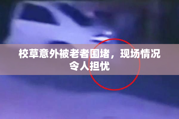 校草意外被老者围堵，现场情况令人担忧