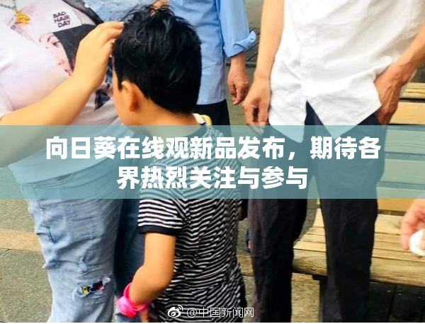 向日葵在线观新品发布，期待各界热烈关注与参与
