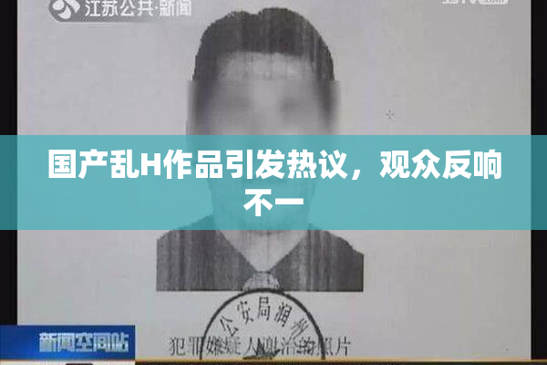 国产乱H作品引发热议，观众反响不一