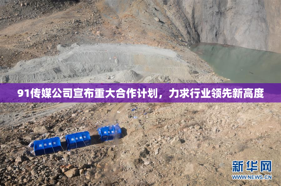 91传媒公司宣布重大合作计划，力求行业领先新高度