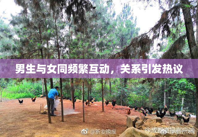 男生与女同频繁互动，关系引发热议