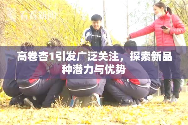 高卷杏1引发广泛关注，探索新品种潜力与优势