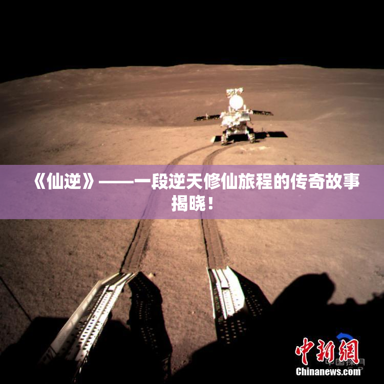 《仙逆》——一段逆天修仙旅程的传奇故事揭晓！