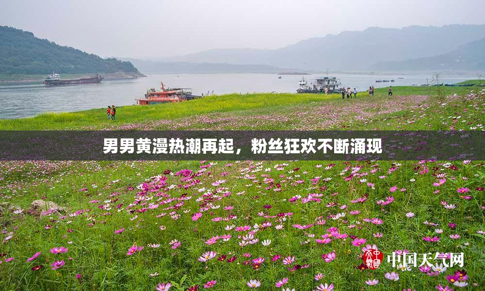 男男黄漫热潮再起，粉丝狂欢不断涌现
