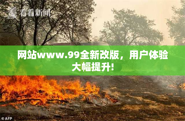 网站www.99全新改版，用户体验大幅提升!