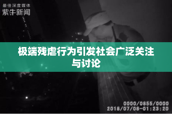 极端残虐行为引发社会广泛关注与讨论