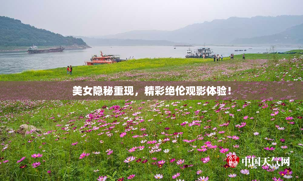 美女隐秘重现，精彩绝伦观影体验！