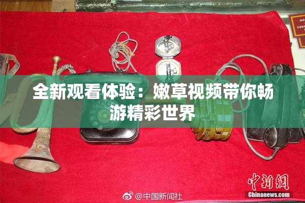 全新观看体验：嫩草视频带你畅游精彩世界