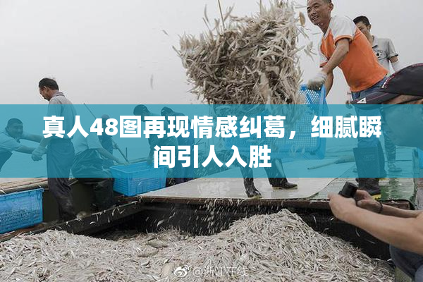 真人48图再现情感纠葛，细腻瞬间引人入胜