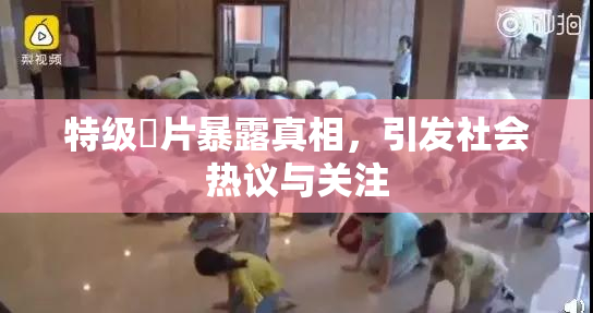 特级婬片暴露真相，引发社会热议与关注