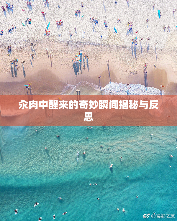 汆肉中醒来的奇妙瞬间揭秘与反思