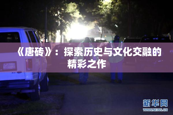 《唐砖》：探索历史与文化交融的精彩之作