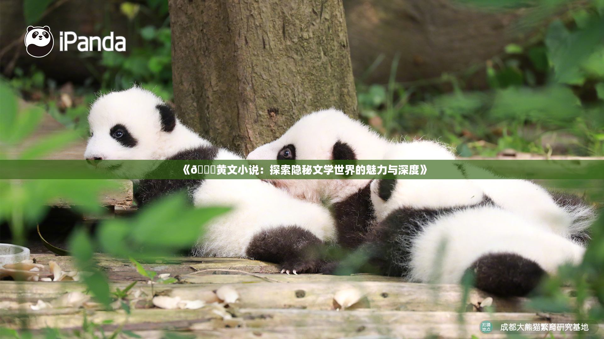 《🔞黄文小说：探索隐秘文学世界的魅力与深度》