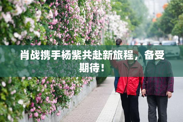 肖战携手杨紫共赴新旅程，备受期待！