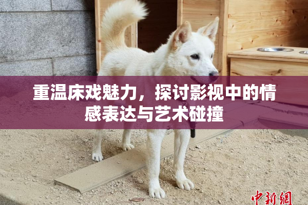 重温床戏魅力，探讨影视中的情感表达与艺术碰撞