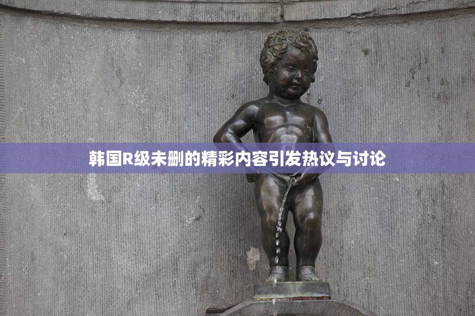 韩国R级未删的精彩内容引发热议与讨论