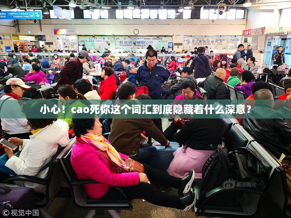 小心！cao死你这个词汇到底隐藏着什么深意？
