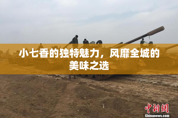 小七香的独特魅力，风靡全城的美味之选