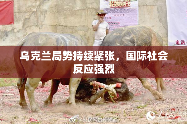 乌克兰局势持续紧张，国际社会反应强烈