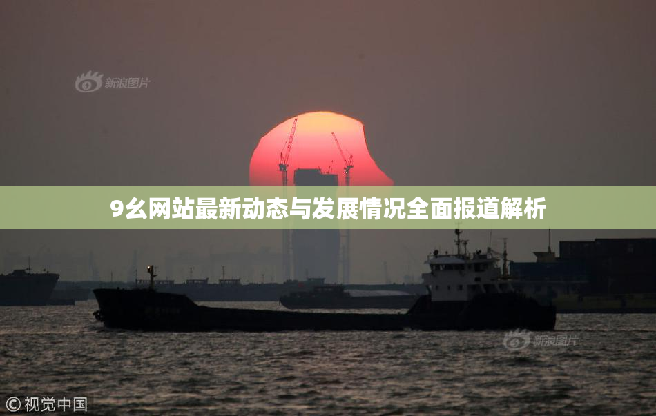 9幺网站最新动态与发展情况全面报道解析