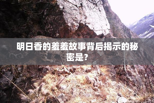 明日香的羞羞故事背后揭示的秘密是？