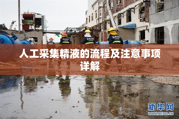 人工采集精液的流程及注意事项详解