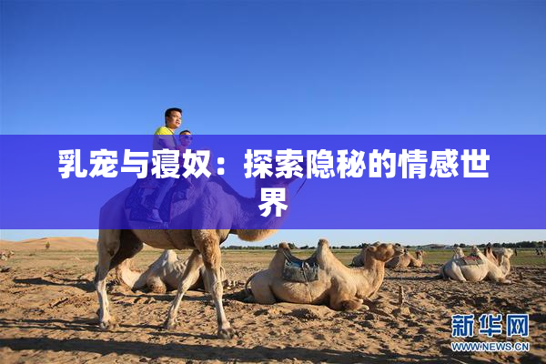 乳宠与寝奴：探索隐秘的情感世界