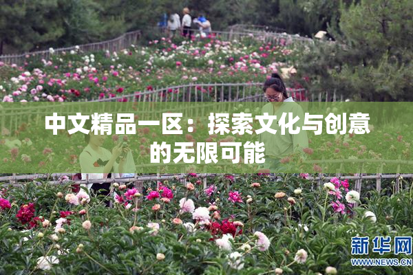 中文精品一区：探索文化与创意的无限可能