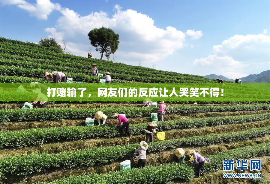 打赌输了，网友们的反应让人哭笑不得！