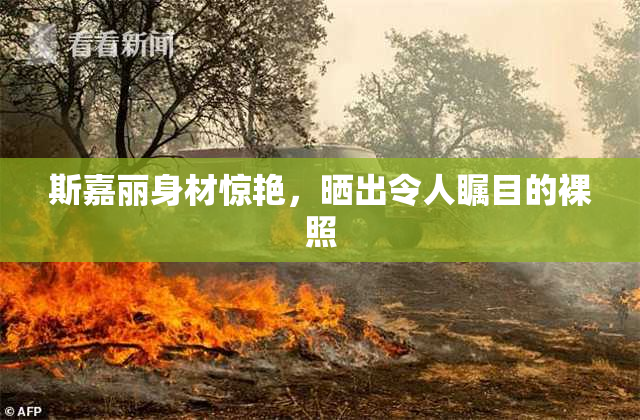 斯嘉丽身材惊艳，晒出令人瞩目的裸照