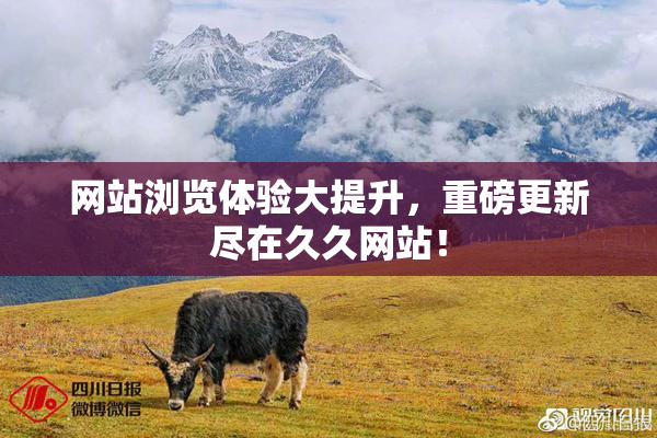 网站浏览体验大提升，重磅更新尽在久久网站！