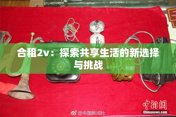 合租2v：探索共享生活的新选择与挑战