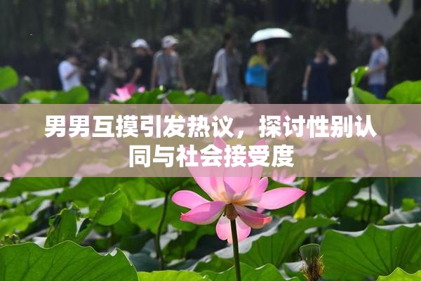 男男互摸引发热议，探讨性别认同与社会接受度