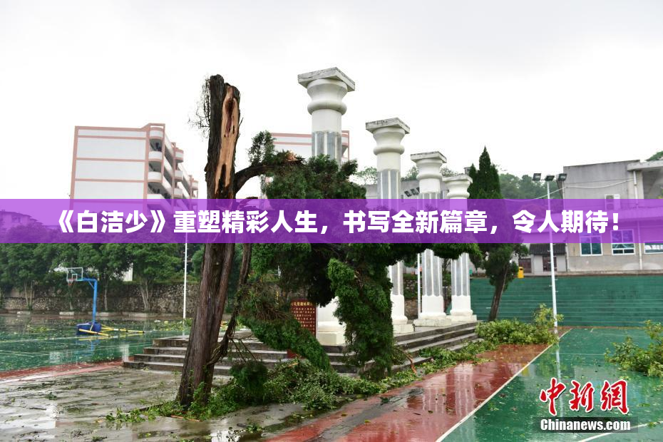 《白洁少》重塑精彩人生，书写全新篇章，令人期待！