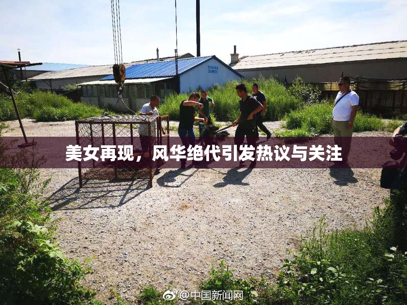 美女再现，风华绝代引发热议与关注
