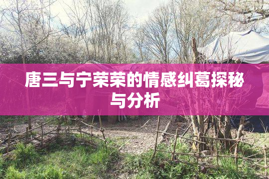 唐三与宁荣荣的情感纠葛探秘与分析