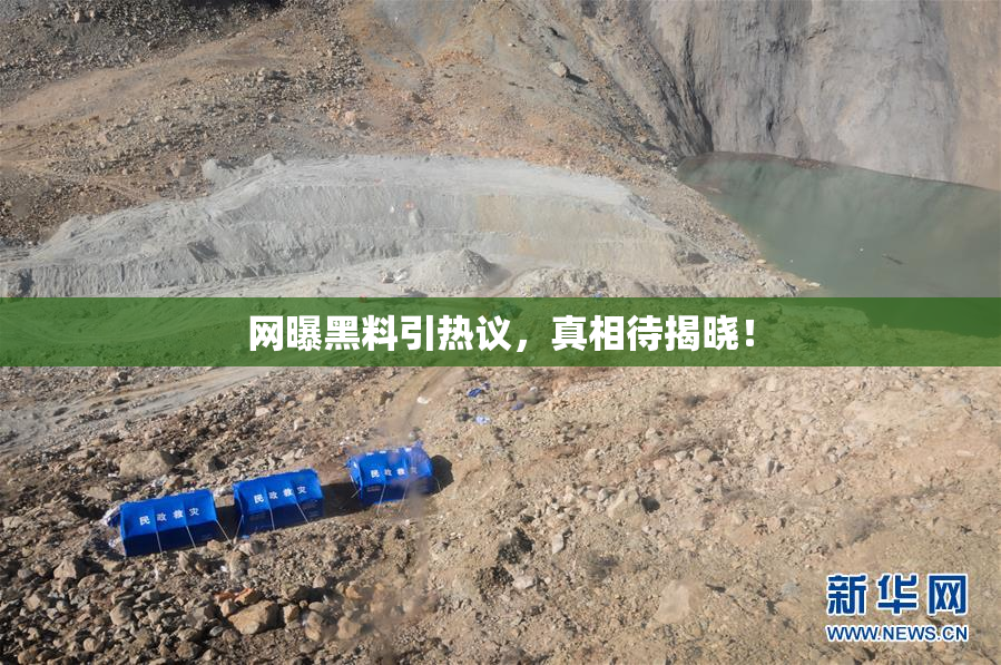 网曝黑料引热议，真相待揭晓！