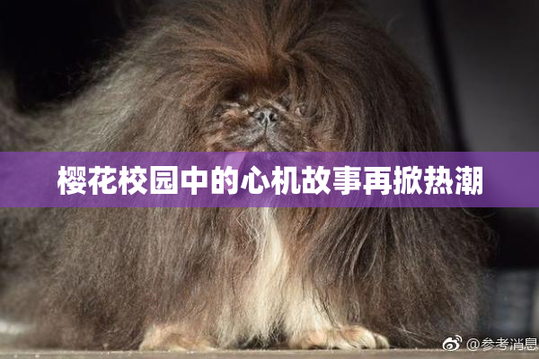 樱花校园中的心机故事再掀热潮