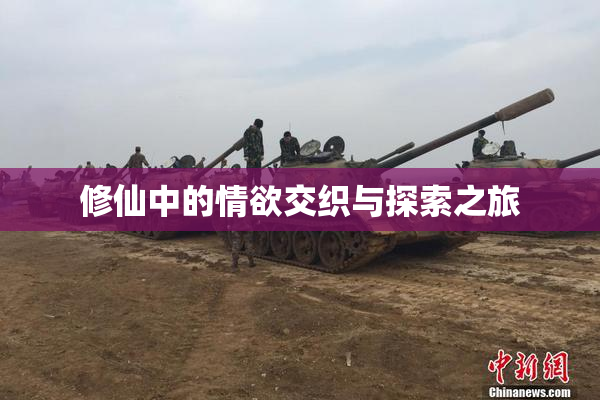 修仙中的情欲交织与探索之旅