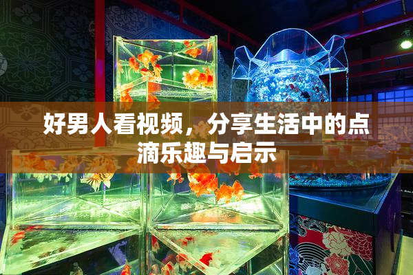 好男人看视频，分享生活中的点滴乐趣与启示