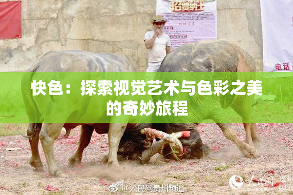 快色：探索视觉艺术与色彩之美的奇妙旅程