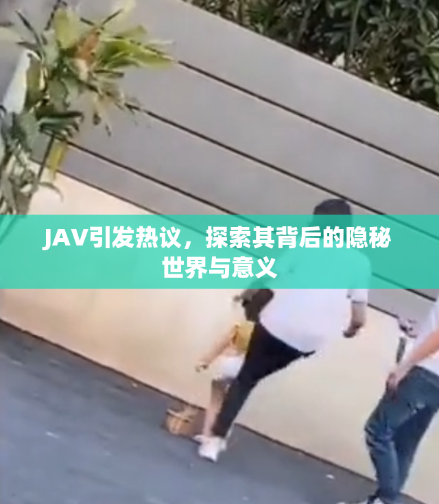 JAV引发热议，探索其背后的隐秘世界与意义